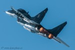 dsc_0506.jpg