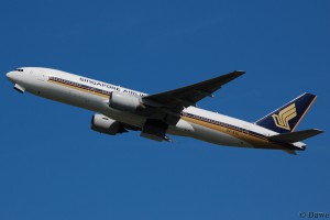 dsc_0311.jpg